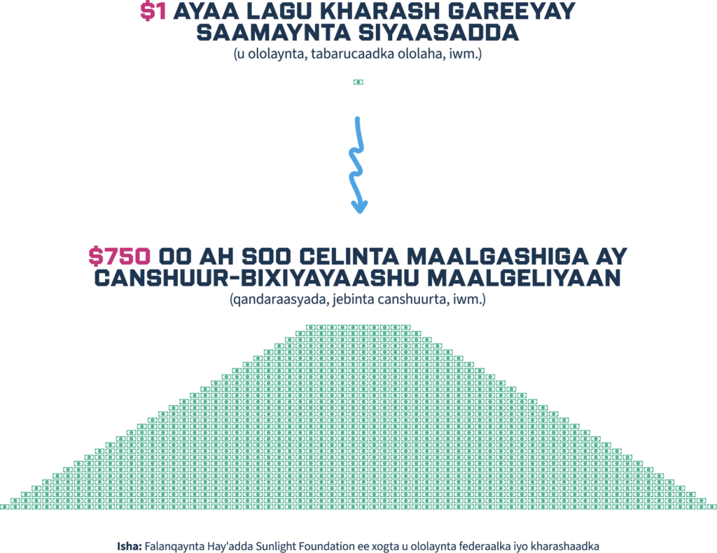 Infograaf muujinaya in $1 oo lagu bixiyo saamaynta siyaasadeed uu u dhigmo $750 oo soo-noqosho maalgelin ah oo canshuur-bixiyuhu maalgeliyo. Korka waxaa ku yaal calaamadda doollarka, hoostana qaab saddex-xagal ah. Isha xogta hoosta ayaa lagu xusay.